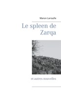 Manon Larraufie: Le spleen de Zarqa 
