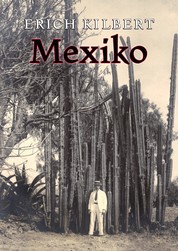 Mexiko - Tagebuch eines deutschen Auswanderers