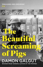 The Beautiful Screaming of Pigs - Author of the 2021 Booker Prize-winning novel THE PROMISE