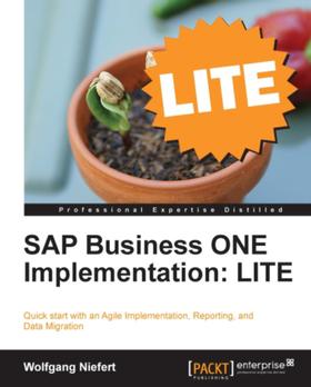 SAP Business ONE Implementation: LITE