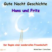 Gute-Nacht-Geschichte: Hans und Fritz - Der Beginn einer wundervollen Freundschaft - Wunderschöne Einschlafgeschichte für Kinder bis 12 Jahren - Teil 1