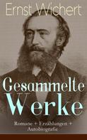 Ernst Wichert: Gesammelte Werke: Romane + Erzählungen + Autobiografie 