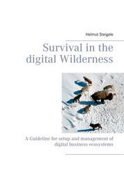 Survival in the digital Wilderness - A Guideline for setup and management of digital business ecosystems