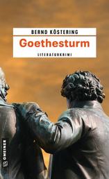 Goethesturm - Hendrik Wilmuts dritter Fall