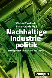Nachhaltige Industriepolitik - Strategien für Deutschland und Europa