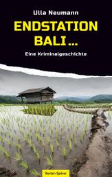 Endstation Bali - Eine Kriminalgeschichte