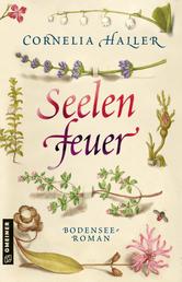 Seelenfeuer - Bodensee-Roman