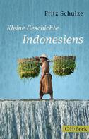 Fritz Schulze: Kleine Geschichte Indonesiens ★★★★