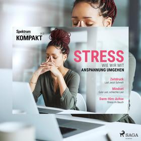 Spektrum Kompakt: Stress - Wie wir mit Anspannung umgehen