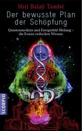 Der bewusste Plan der Schöpfung - Quantenmedizin und Energiefeld- Heilung – die Essenz vedischen Wissens