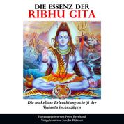 Die Essenz der Ribhu Gita - Die makellose Erleuchtungsschrift der Vedanta in Auszügen