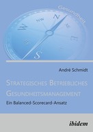André Schmidt: Strategisches Betriebliches Gesundheitsmanagement 
