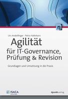 Urs Andelfinger: Agilität für IT-Governance, Prüfung & Revision 