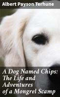 Albert Payson Terhune: A Dog Named Chips: The Life and Adventures of a Mongrel Scamp 