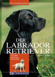 Labrador Retriever - Charakter, Erziehung, Gesundheit