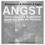ANGST - Electroaudiale Rundreise durch die Welt der Phobien - Präsentiert vom Radio Schwarzwasser, Folge 2