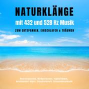 Naturklänge mit 432 und 528 Hz Musik zum Entspannen, Einschlafen & Träumen - Meeresrauschen, Waldgeräusche, Vogelstimmen, beruhigender Regen, Einschlafmusik, Entspannungsmusik