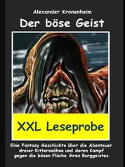 XXL LESEPROBE - Der böse Geist - Ein Fantasy Roman über die Abenteuer dreier Ritterssöhne und deren Kampf gegen die bösen Flüche ihres Burggeistes.