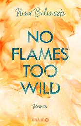 No Flames too wild - Roman