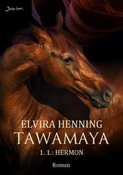TAWAMAYA - 1.1.: HERMON - Ein historischer Roman