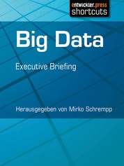 Big Data - Executive Briefing