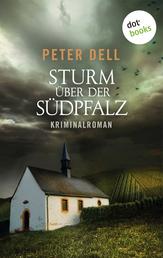 Sturm über der Südpfalz: Der zweite Fall für Philipp Sturm - Kriminalroman