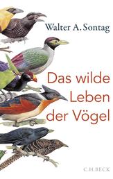 Das wilde Leben der Vögel - Von Nachtschwärmern, Kuckuckskindern und leidenschaftlichen Sängern