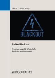 Risiko Blackout - Krisenvorsorge für Wirtschaft, Behörden und Kommunen