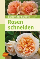 Heiko Hübscher: Rosen schneiden 
