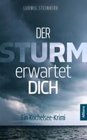 Ludwig Steinherr: Der Sturm erwartet dich ★★