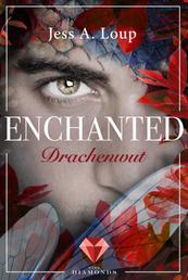 Drachenwut (Enchanted 3) - Magischer Fantasyroman über die Liebe in einer Welt voller Elfen und Drachen