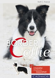 Border Collie - Charakter, Erziehung, Gesundheit.