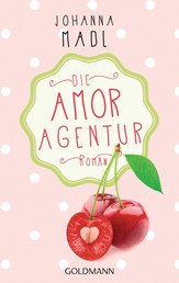 Die Amor-Agentur - Roman