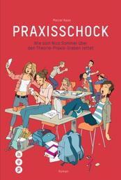 Praxisschock (E-Book) - Wie sich Nico Sommer über den Theorie-Praxis-Graben rettet