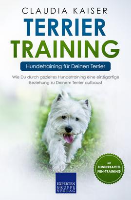 Terrier Training – Hundetraining für Deinen Terrier