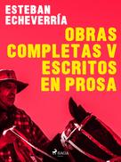 Esteban Echevarría: Obras Completas V Escritos en prosa 