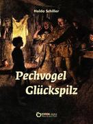 Holda Schiller: Pechvogel Glückspilz 