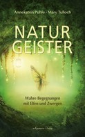 Annekatrin Puhle: Naturgeister - Wahre Begegnungen mit Elfen und Zwergen 