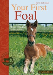 Your First Foal - Horse breeding for beginners