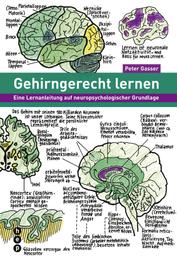 Gehirngerecht lernen (E-Book) - Eine Lernanleitung auf neuropsychologischer Grundlage