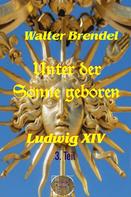 Walter Brendel: Unter der Sonne geboren, 3. Teil 