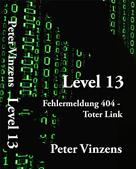 Peter Vinzens: Level 13 