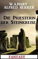 Alfred Bekker: Die Priesterin der Steinkreise: Fantasy 
