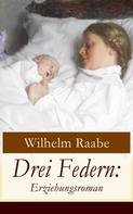 Wilhelm Raabe: Drei Federn: Erziehungsroman 