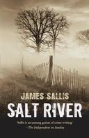 James Sallis: Salt River 