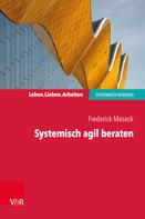 Frederick Meseck: Systemisch agil beraten 
