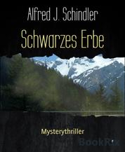 Schwarzes Erbe - Mysterythriller