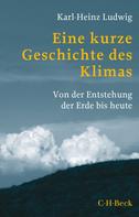 Karl-Heinz Ludwig: Eine kurze Geschichte des Klimas 