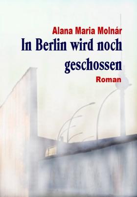In Berlin wird noch geschossen e-book