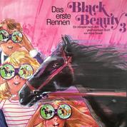Black Beauty, Folge 3: Das erste Rennen